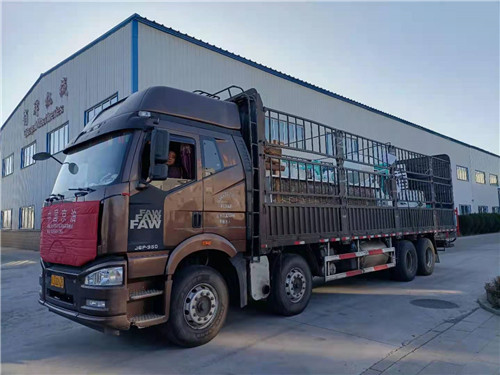 俏牌文冠果脫殼設備裝車發(fā)貨